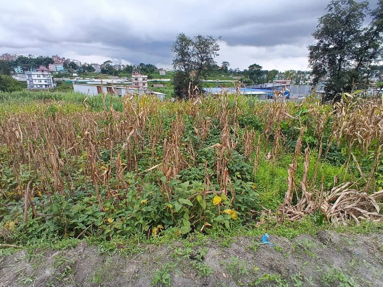Land For Sale At Tokha | Megacity 1