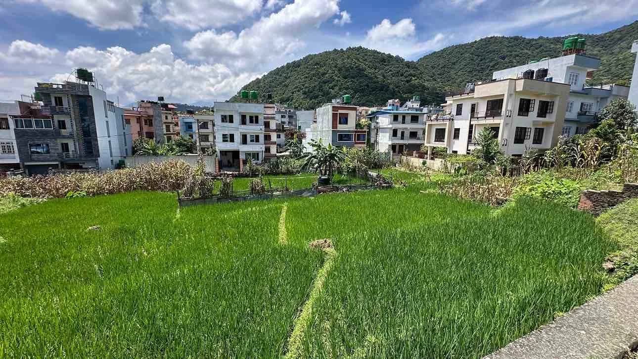 Land For Sale At Raniban 1