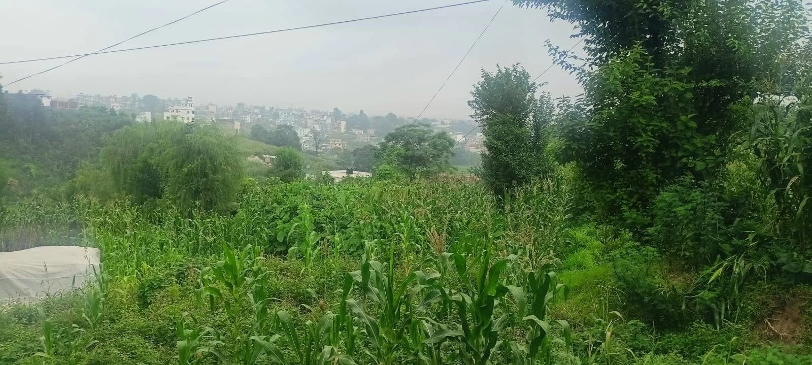 Land For Sale At Gundu 2
