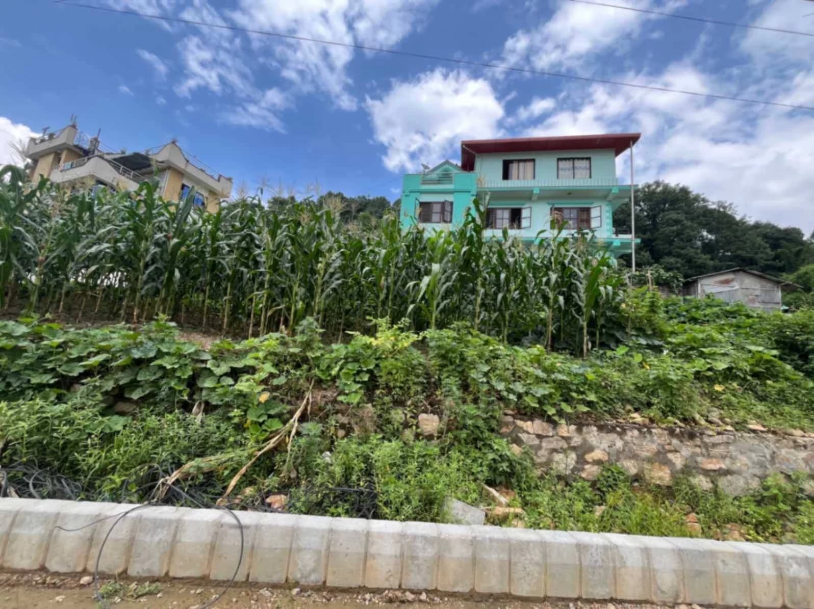 Land For Sale At Lalitpur | Nakhipot 1