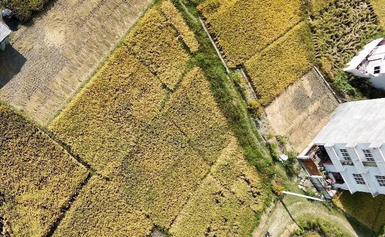 Land For Sale At Tathali 1