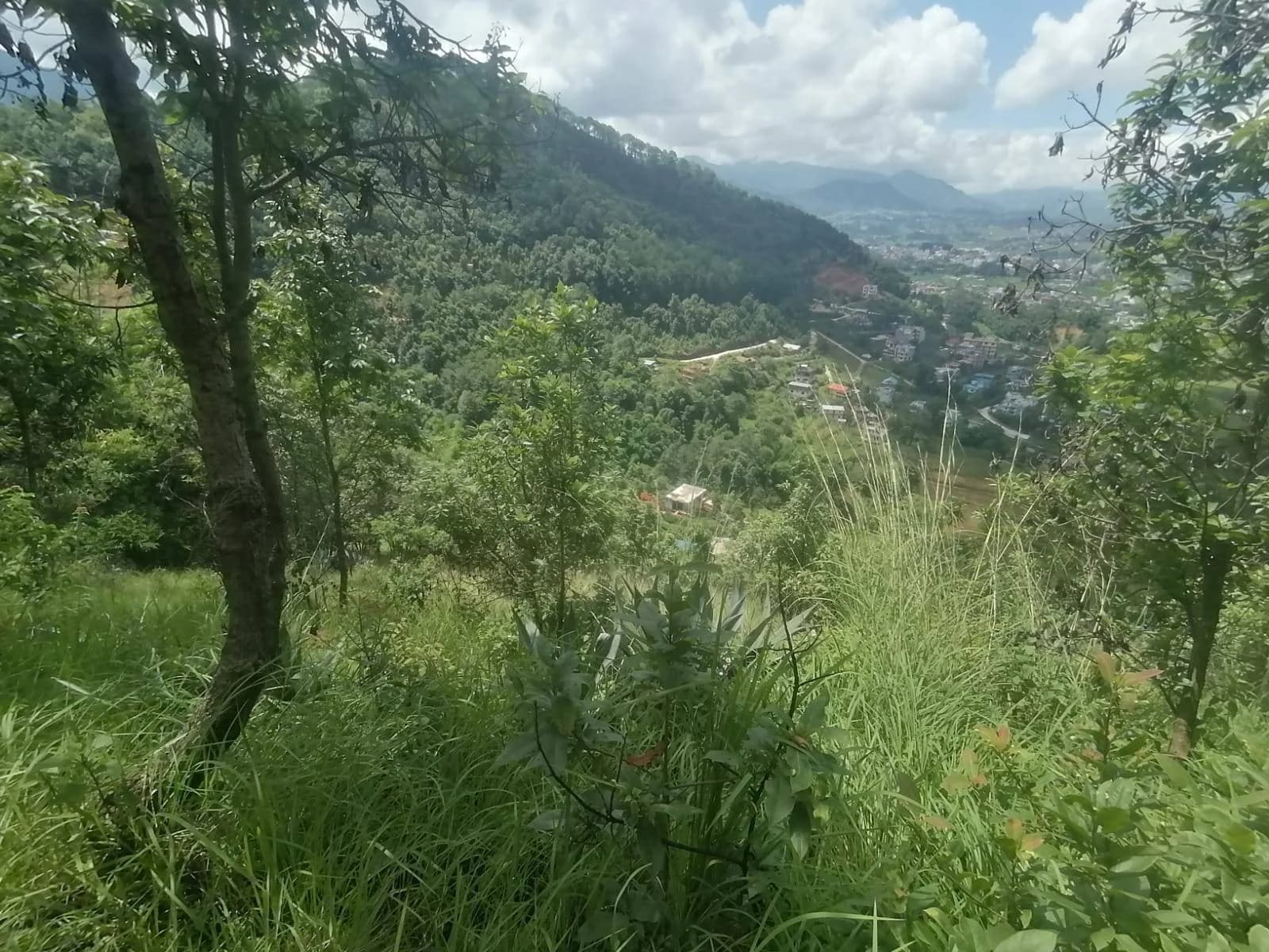 Land For Sale At Godamchaur | Godawari 1