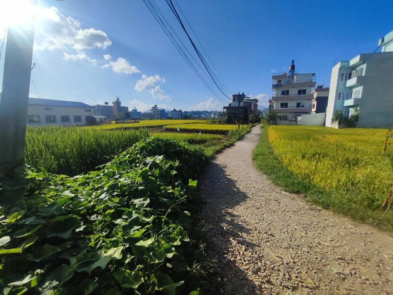 Land For Sale At Duwakot 3