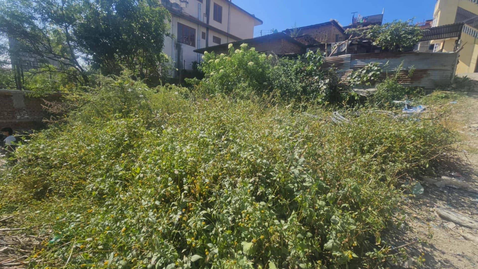 Land For Sale At Budhanilkantha 4