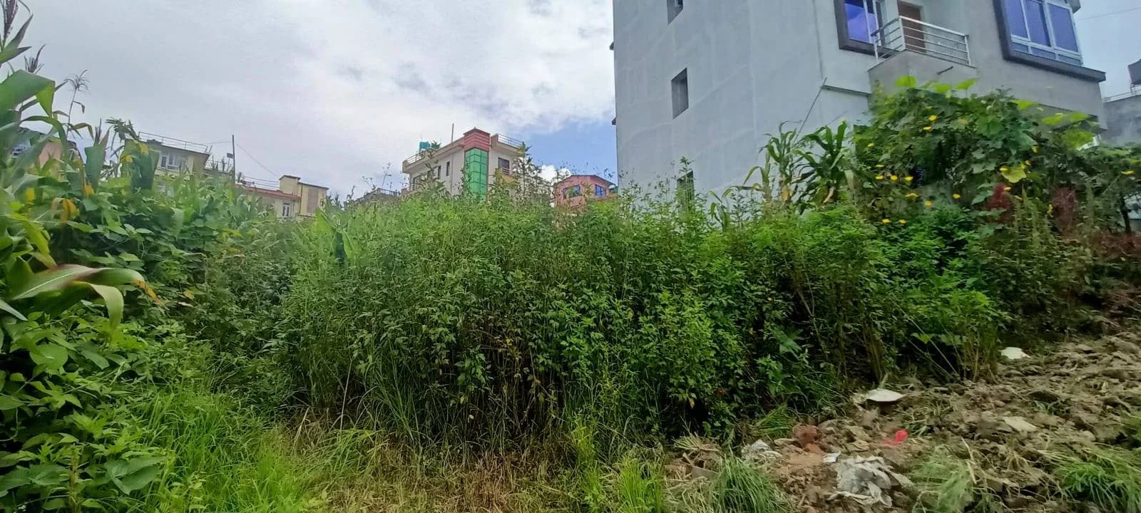 Land For Sale At Sirutar 1