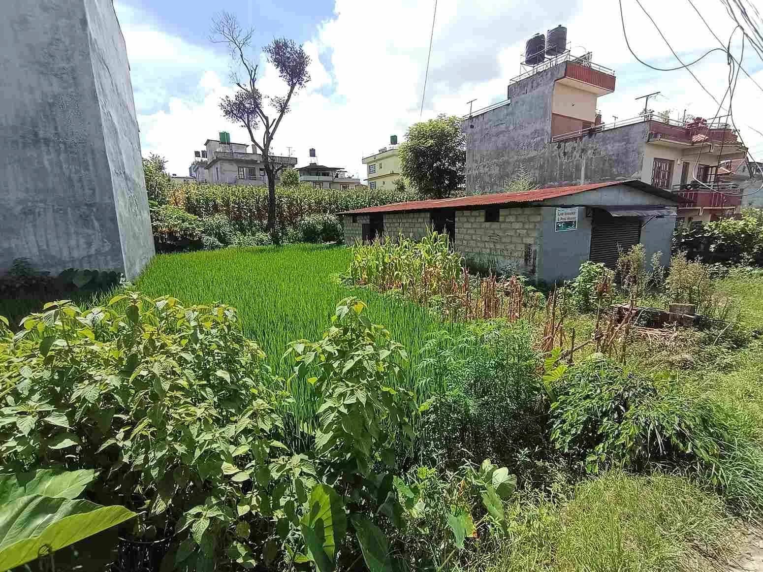 Land For Sale At Duwakot 1