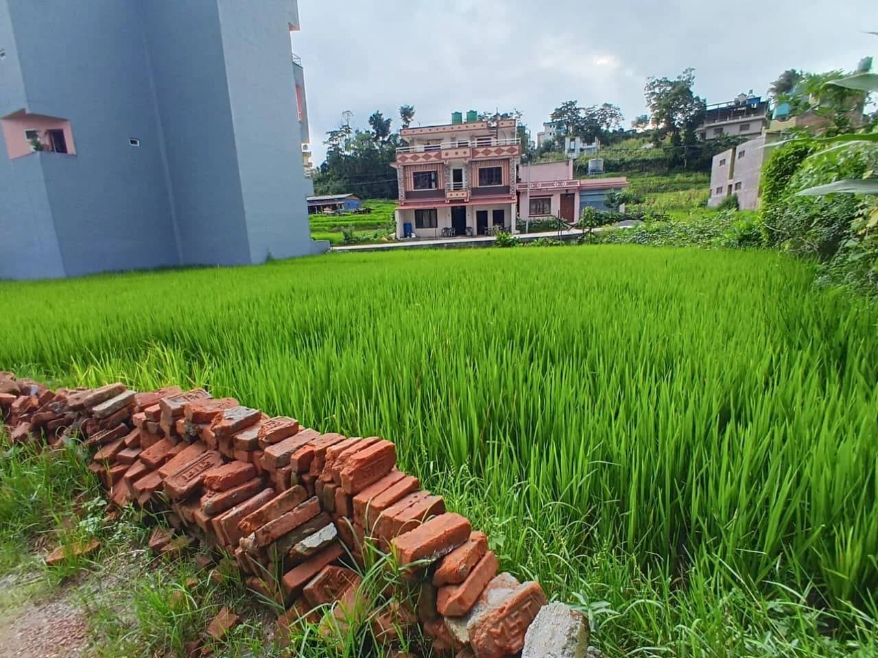Land For Sale At Tarkeshwor | Sangla 3