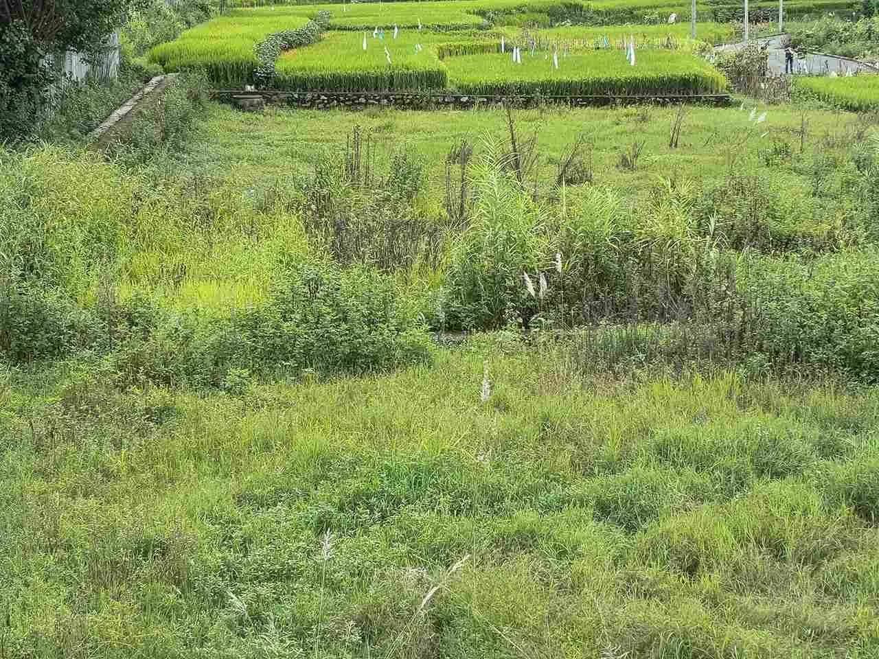 Commercial Land For Sale At Bhaktapur 4