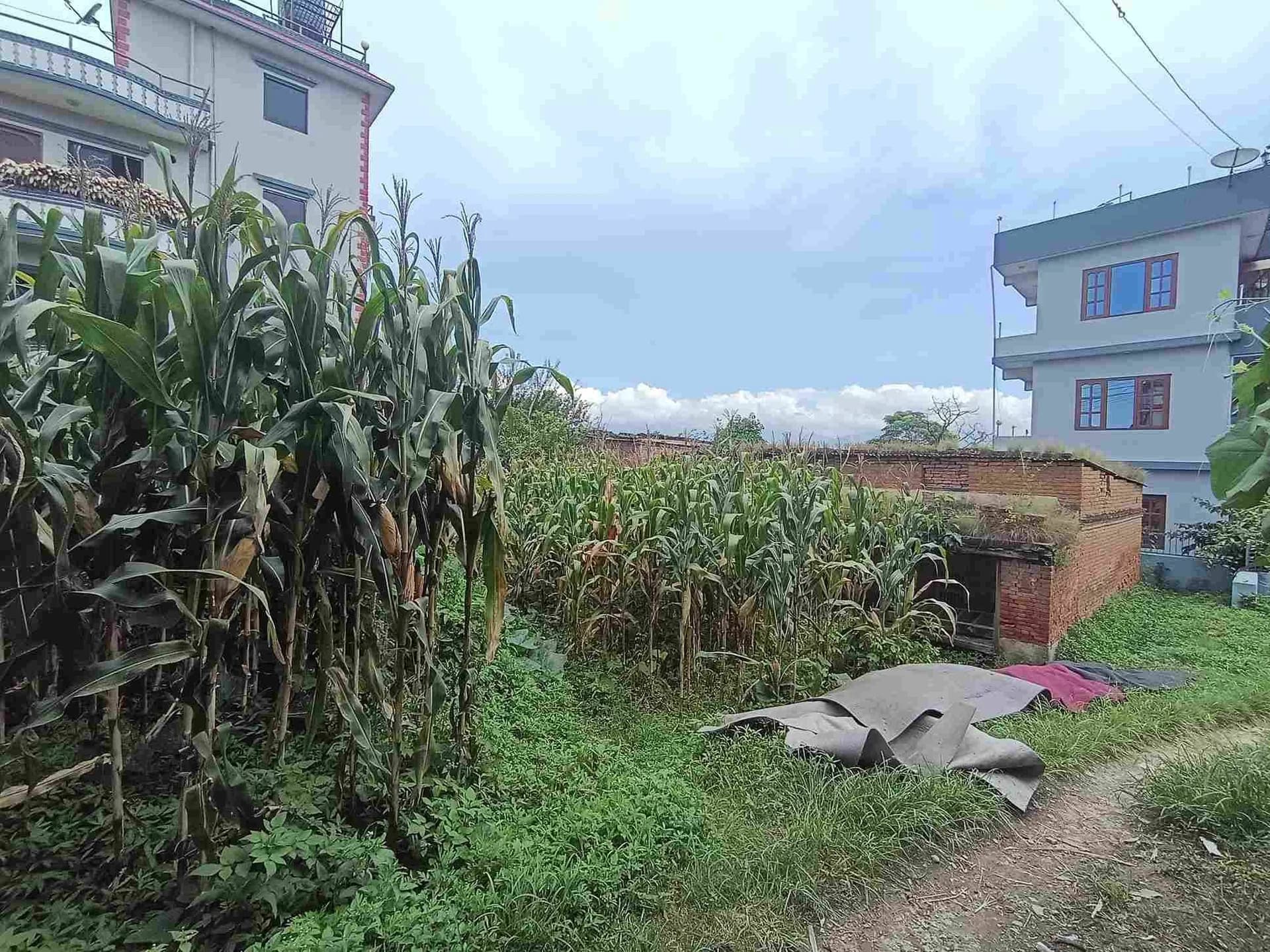 Land For Sale At Dadhikot 3