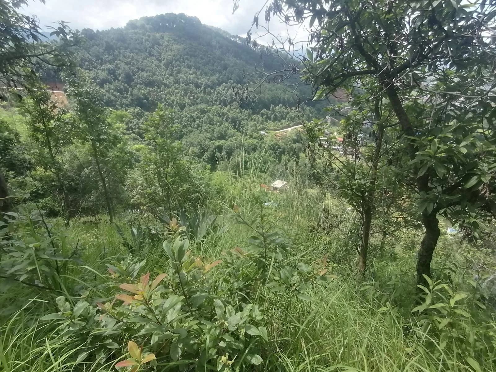 Land For Sale At Godamchaur | Godawari 2