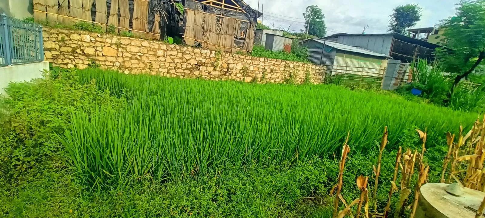 Land For Sale At Balkot 3